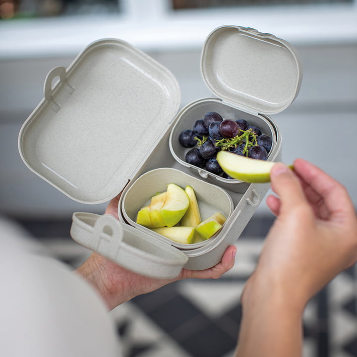 Koziol - Pascal Ready Mini Lunchbox-Set