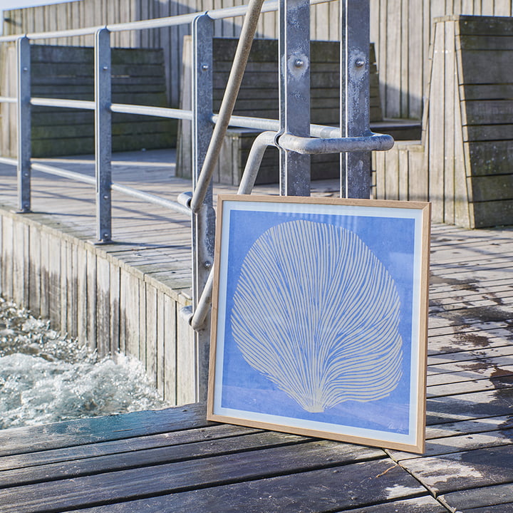 Sea Lavender von Rebecca Hein von The Poster Club