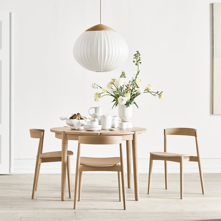 Acorn Pendelleuchte Ø 64 cm, Eiche geölt / Opalglas matt von Bolia
