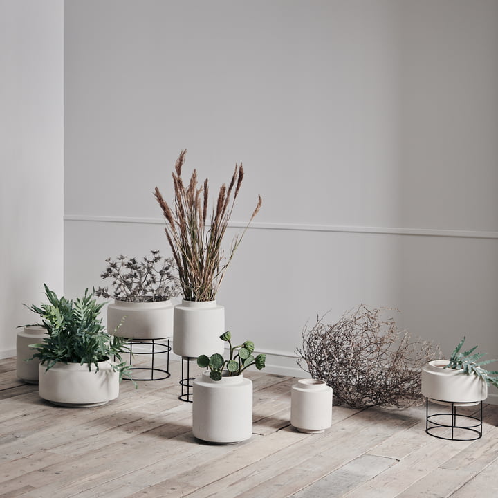 Botanique Blumentopf, grau von Bolia