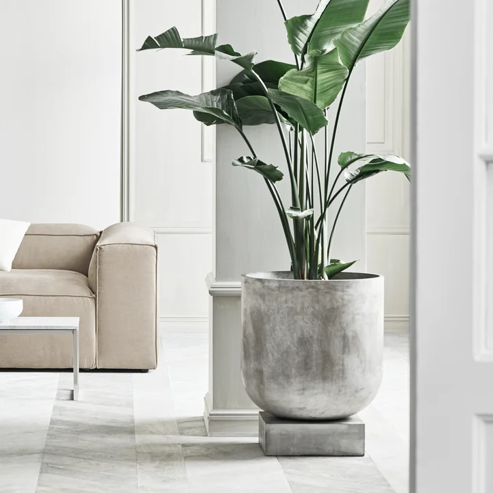 Bolia - Podium Blumentopf, grau