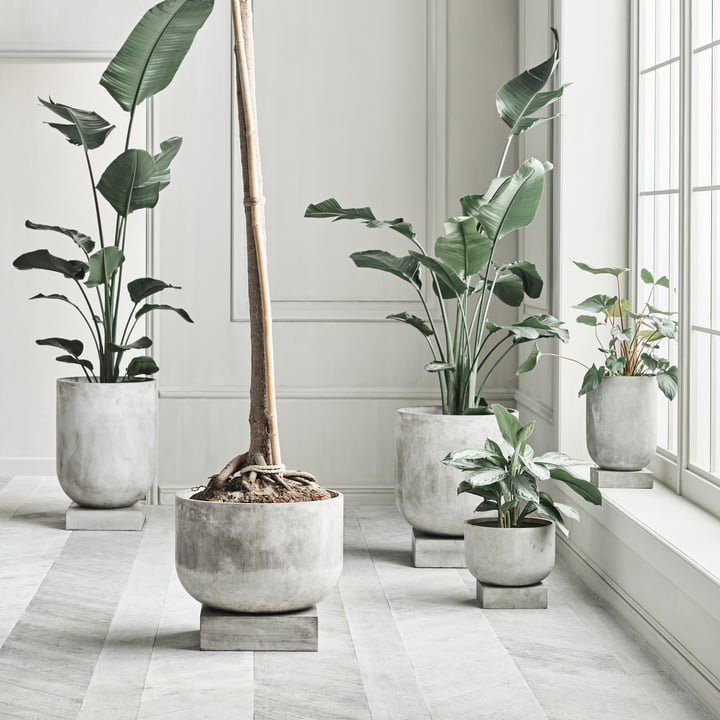 Bolia - Podium Blumentopf, grau