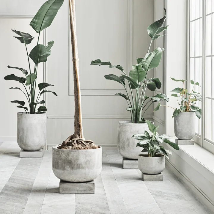 Bolia - Podium Blumentopf, grau