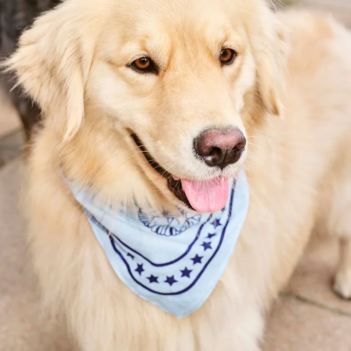 Dogs Hundetuch 55 x 55 cm, hellblau von HAY