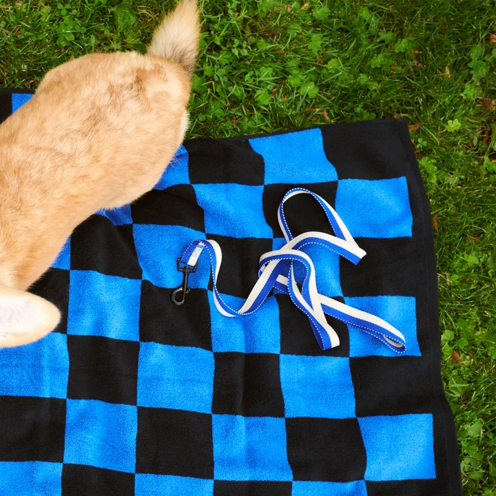 HAY - Dogs Hundeleine, M/L blau / off-white