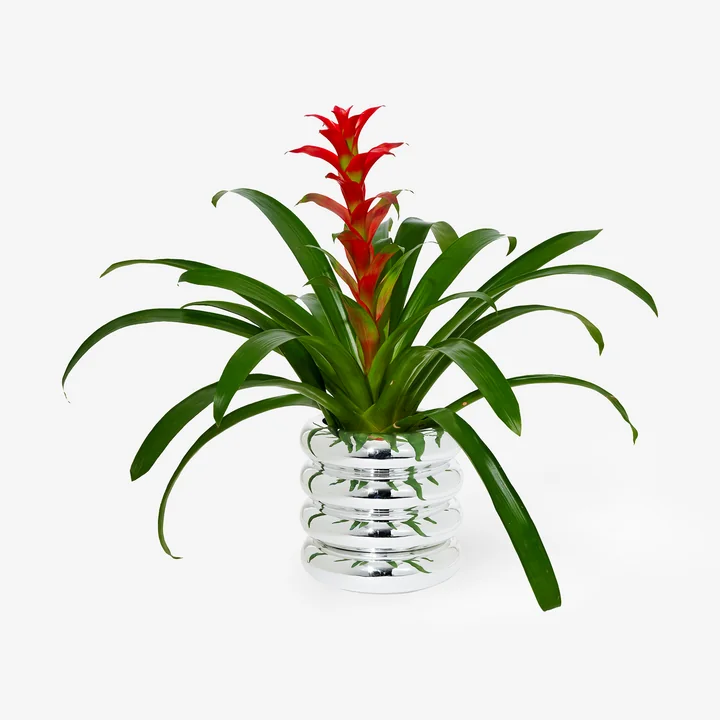 Stacking Blumengefäß von Areaware