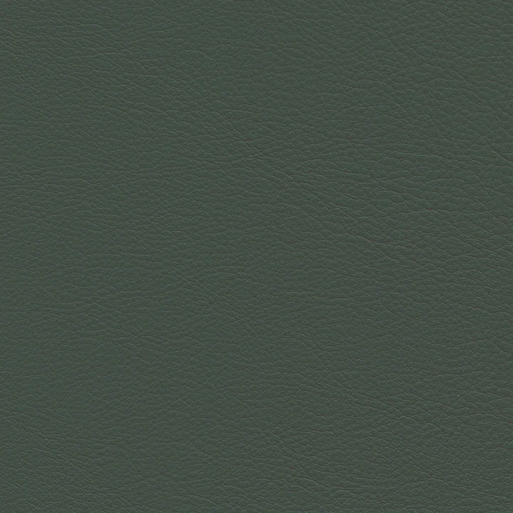 jade (Leder Premium F 59) von Vitra