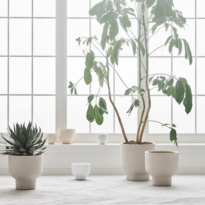 Forma Blumentopf von Bolia