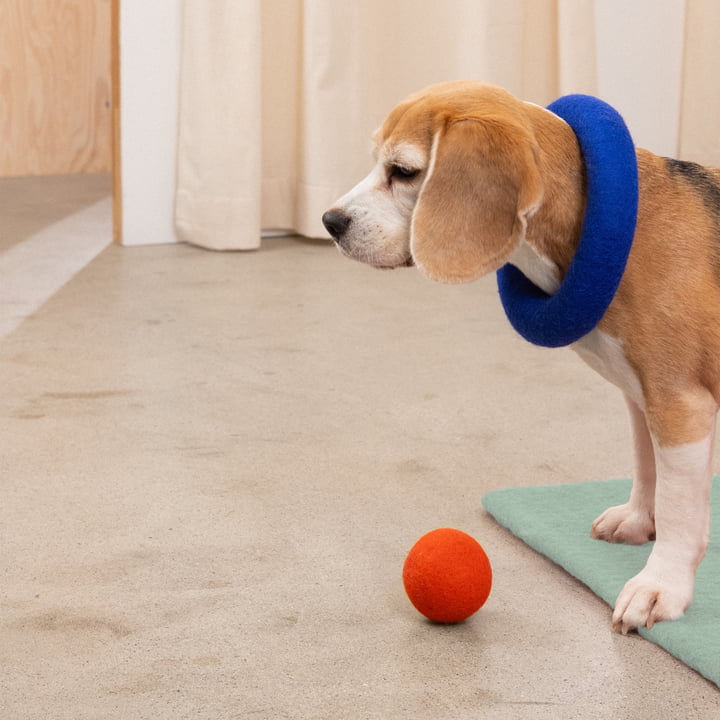 Isa Hundespielzeug, Ring, royalblau von myfelt