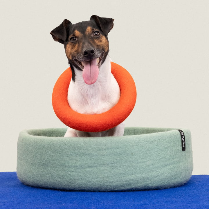 Mats Hundespielzeug, Ring, rotorange von myfelt