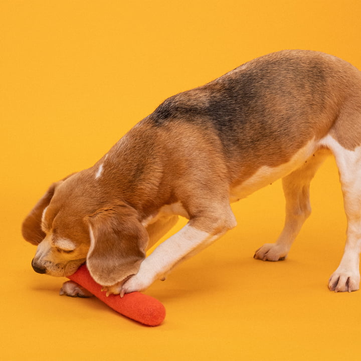 Mats Hundespielzeug, Stock, rotorange von myfelt