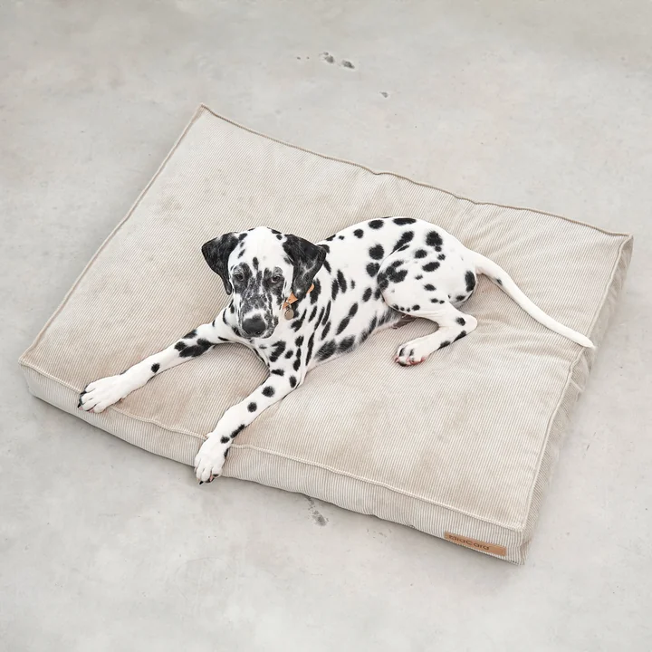 Cordo Hundekissen von MiaCara