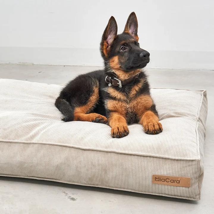 Cordo Hundekissen von MiaCara