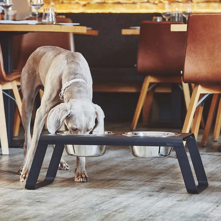 Desco Hundenapfständer mit Edelstahlnäpfen von MiaCara