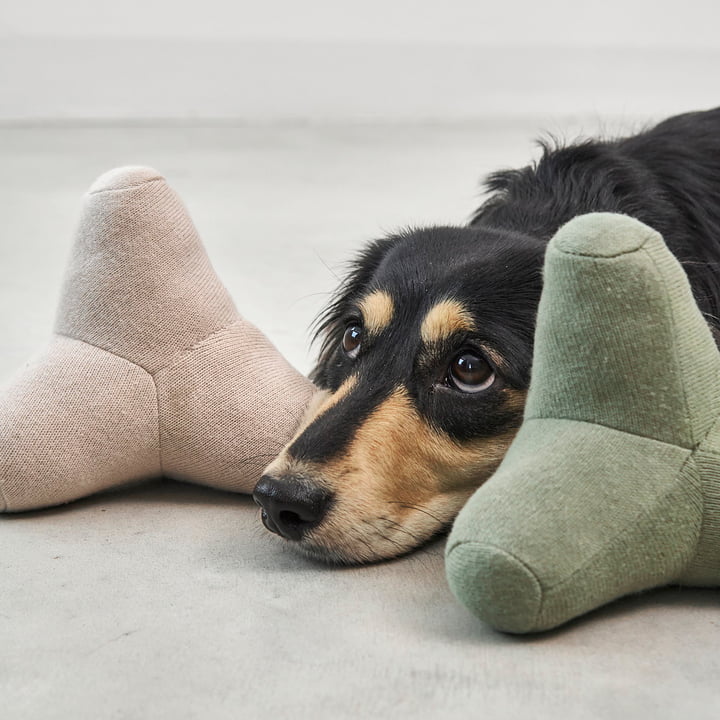 Quattro Hundespielzeug von MiaCara 