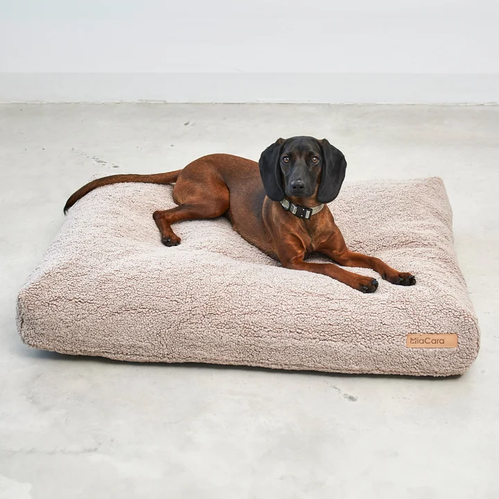 Senso Hundekissen von MiaCara
