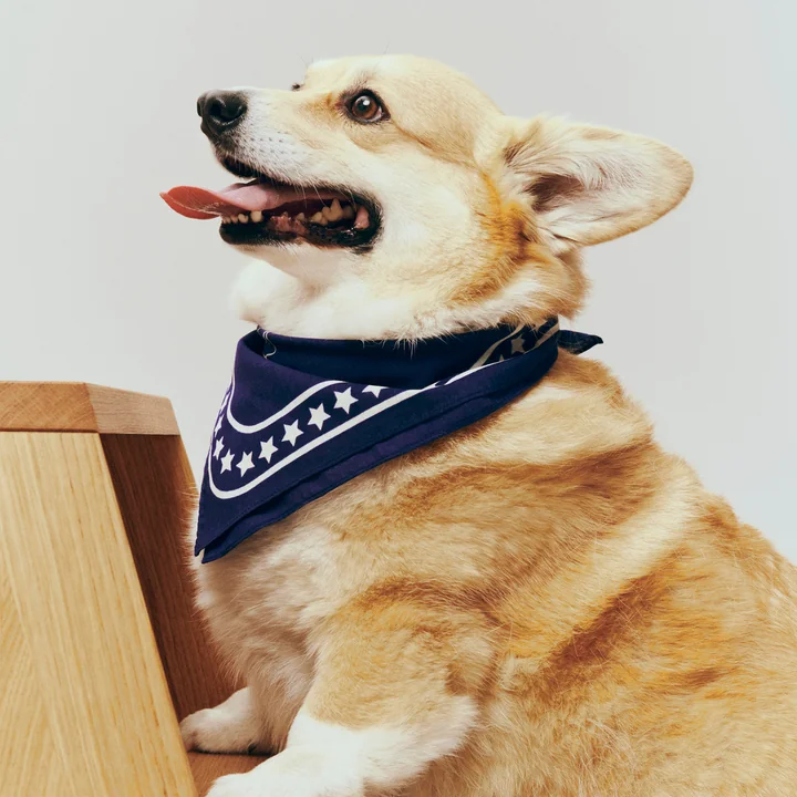 HAY - Dogs Hundetuch, recycelt, 55 x 55 cm, dunkelblau