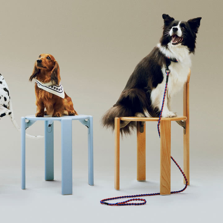 HAY - Dogs Hundeleine, geflochten, verstellbar, blau / rot
