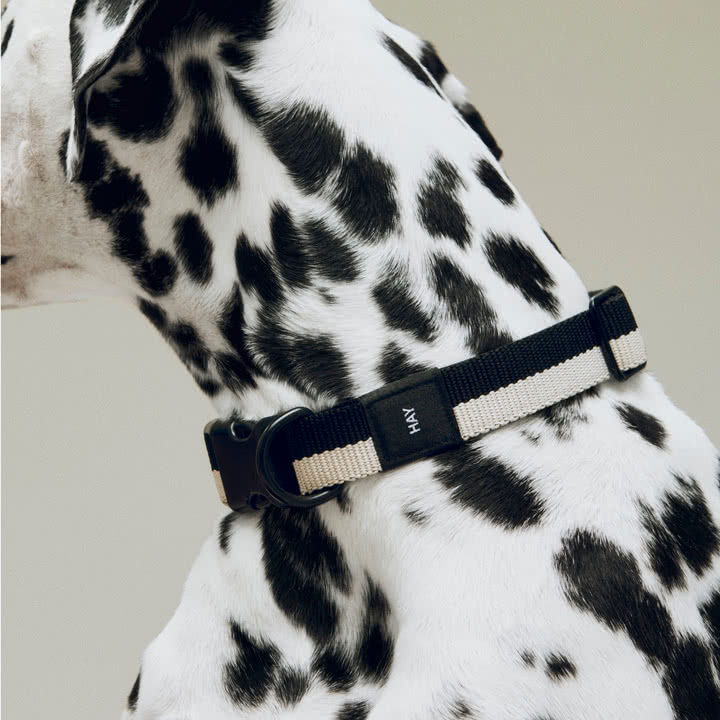 HAY - Dogs Hundehalsband, M/L, schwarz / weiß