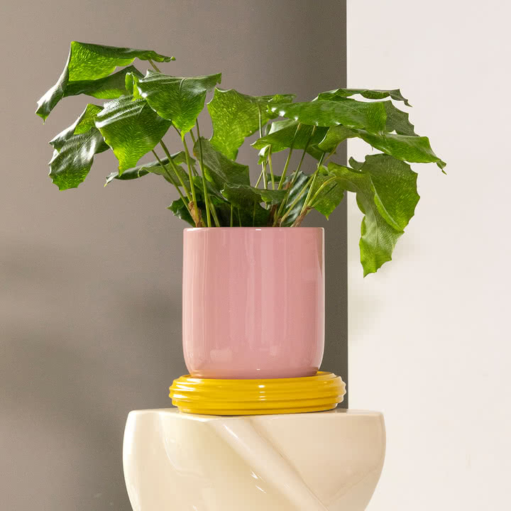 &klevering - Churros Blumentopf, Ø 19,5 x 21 cm, blush / gelb