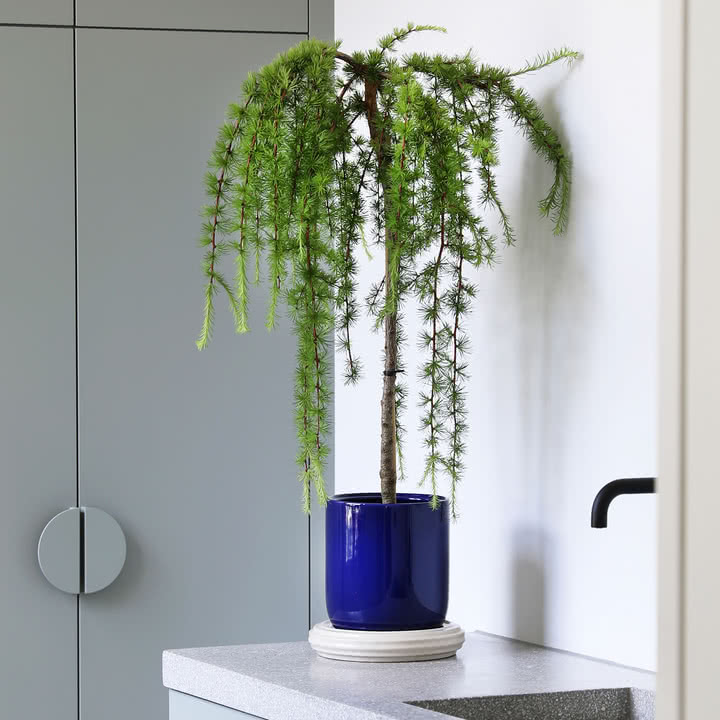 &klevering - Churros Blumentopf, Ø 24,5 x 25 cm, blau / weiß