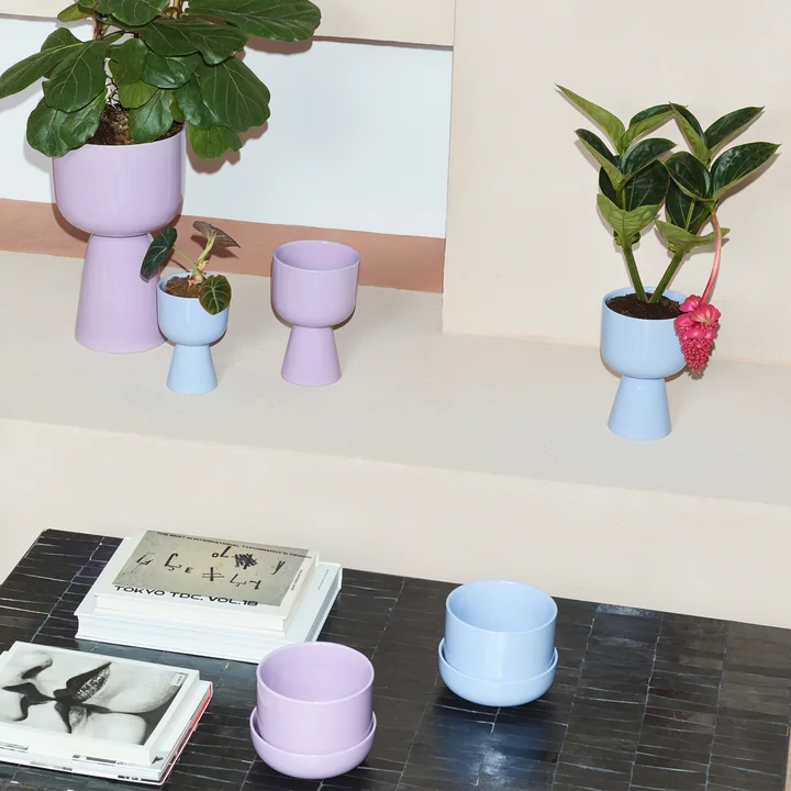 Iittala - Nappula Blumentopf, helllila und aqua