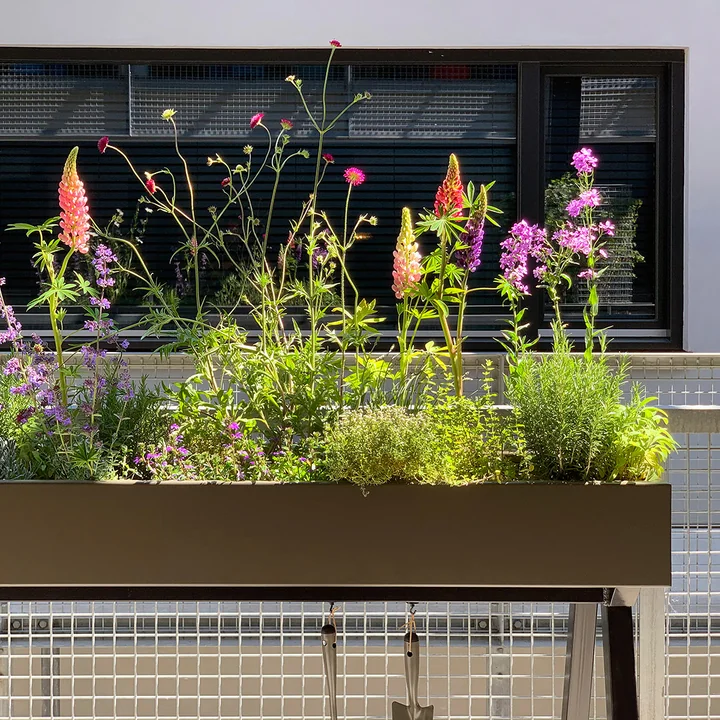 Weltevree - Gardenworks Pflanzkasten