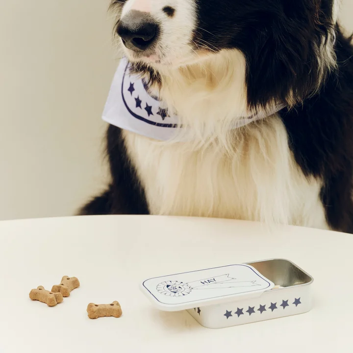 HAY - Dogs Leckerlidose S, blau / weiß