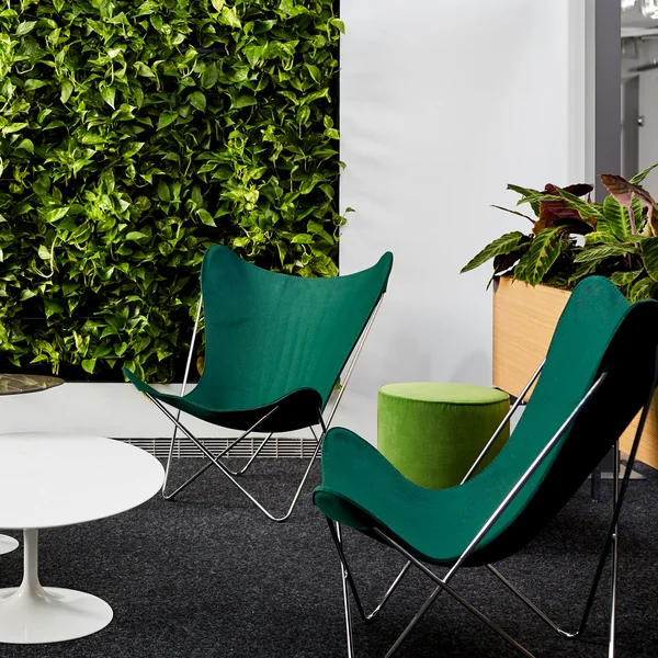 Der Butterfly Chair von Knoll