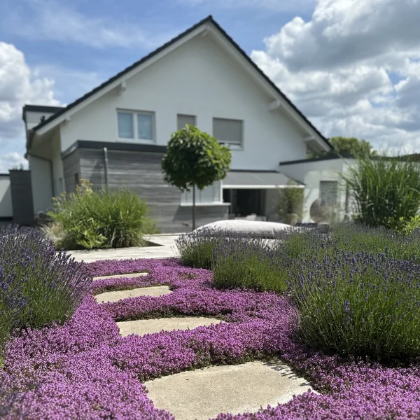 Gartenstory mit Tamara